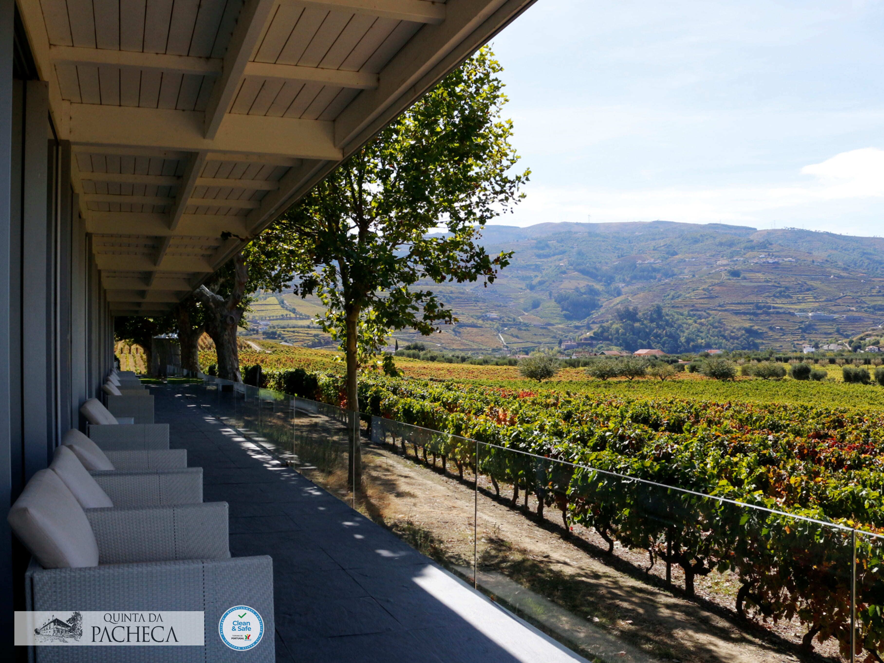 Foto - The Wine House Hotel - Quinta da Pacheca