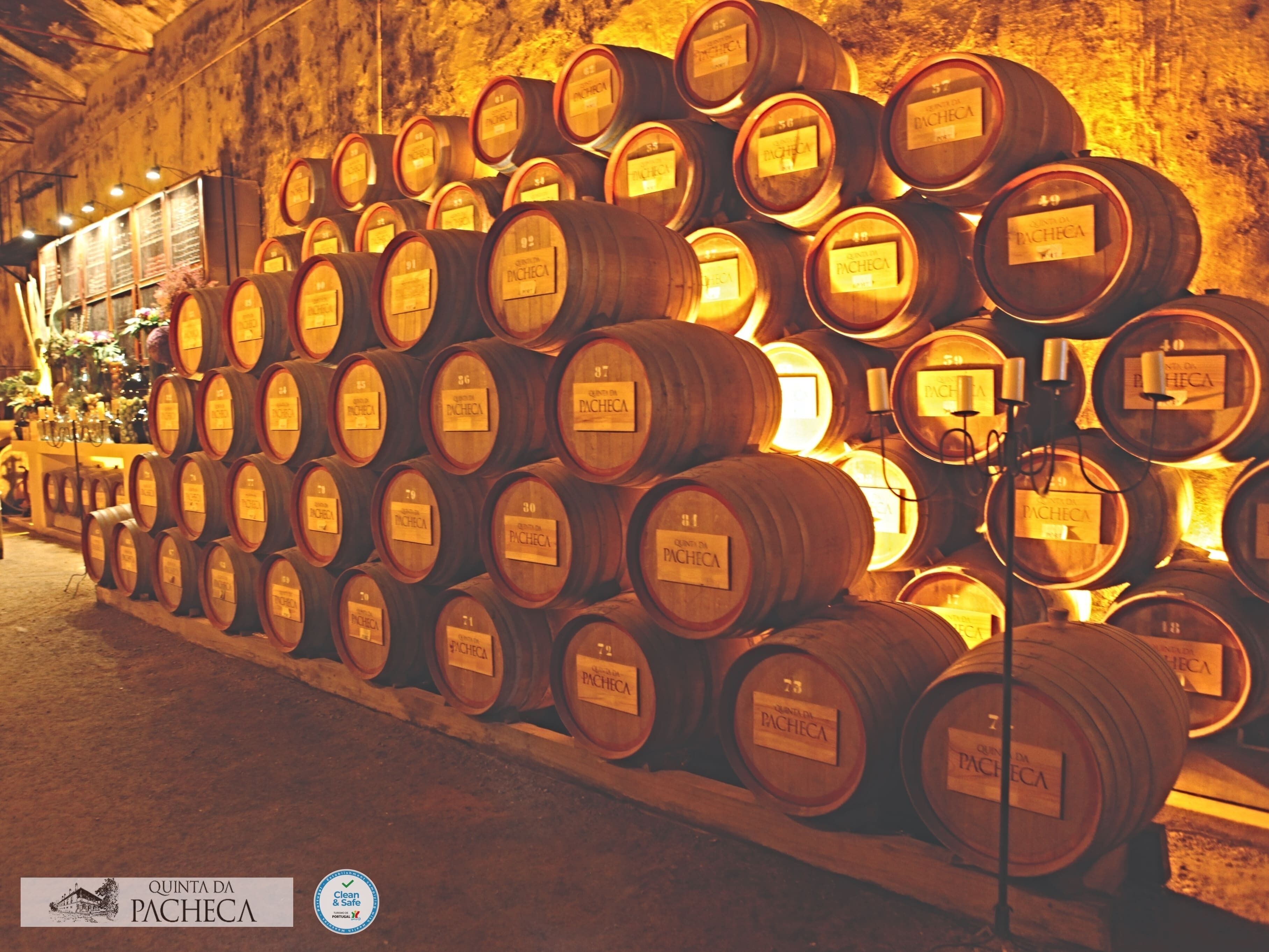 Foto - The Wine House Hotel - Quinta da Pacheca