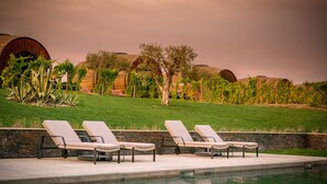 A poolside area with lounge chairs, a stone wall, and a view of a vineyard and buildings in the background.