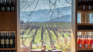 A table with wine glasses and bottles in a room with a vineyard view.