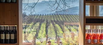 The Wine House Hotel - Quinta da Pacheca