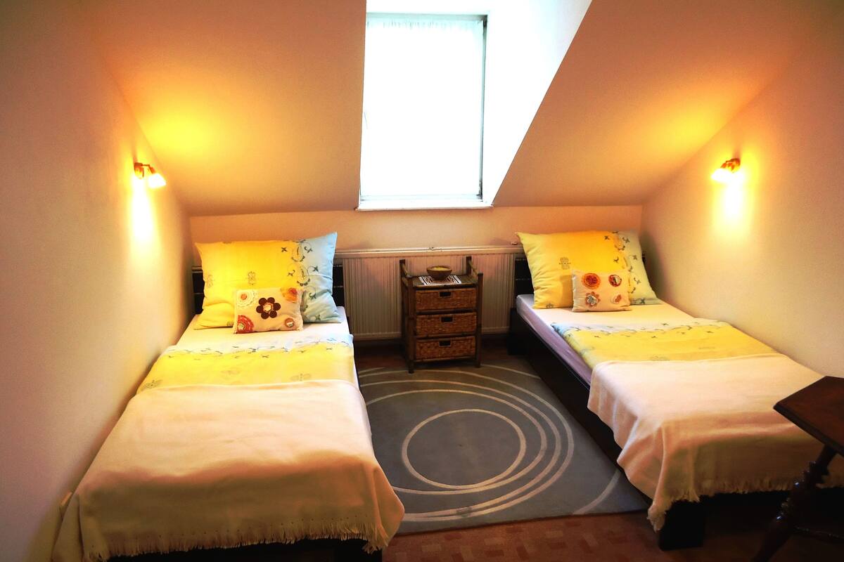 Standard Twin Room | Premium bedding, pillowtop beds, blackout drapes