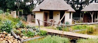 阿多非洲之家酒店