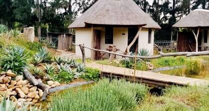 Addo African Home