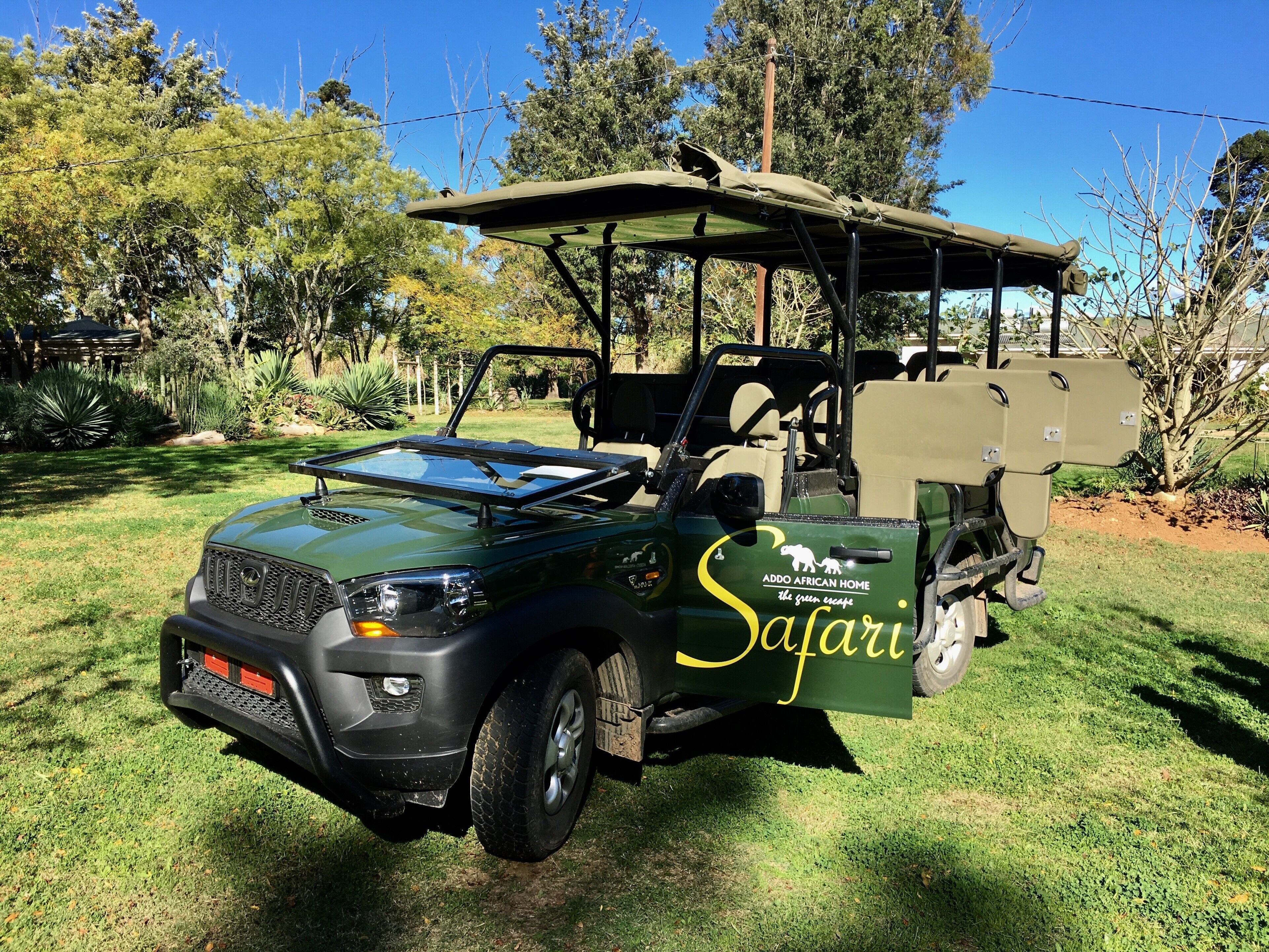 Safari en auto