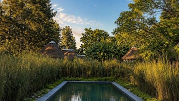 Una piscina al aire libre, sillones reclinables de piscina