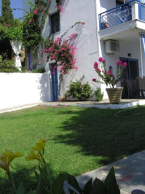 Property grounds - SartiVista (Sithonia)