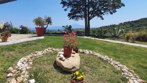 A landscaped garden with a circular stone border, potted plants, and a large tree. - SartiVista (Sithonia)