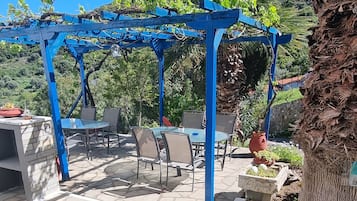 21-inch flat-screen TV with satellite channels, TV