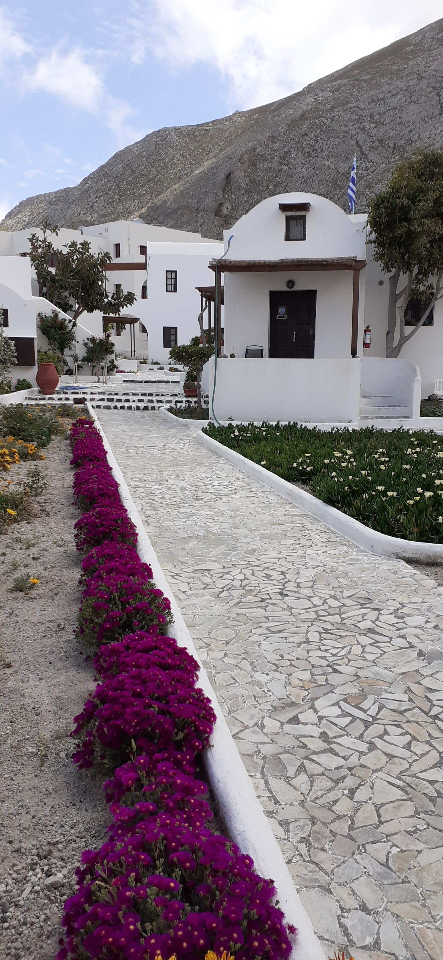 Een pad bezaaid met levendige paarse bloemen, dat leidt naar witte gebouwen met een berg op de achtergrond.