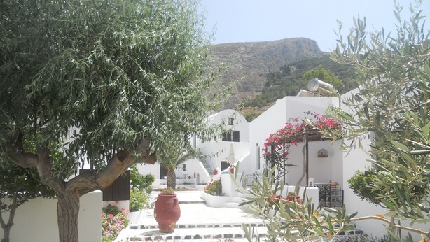 A courtyard with white buildings, a large tree, and colorful flowers. - Villa Ostria (Santorini)