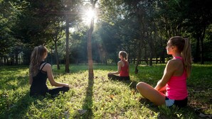 Tres personas sentadas sobre la hierba en un parque con árboles y luz solar.