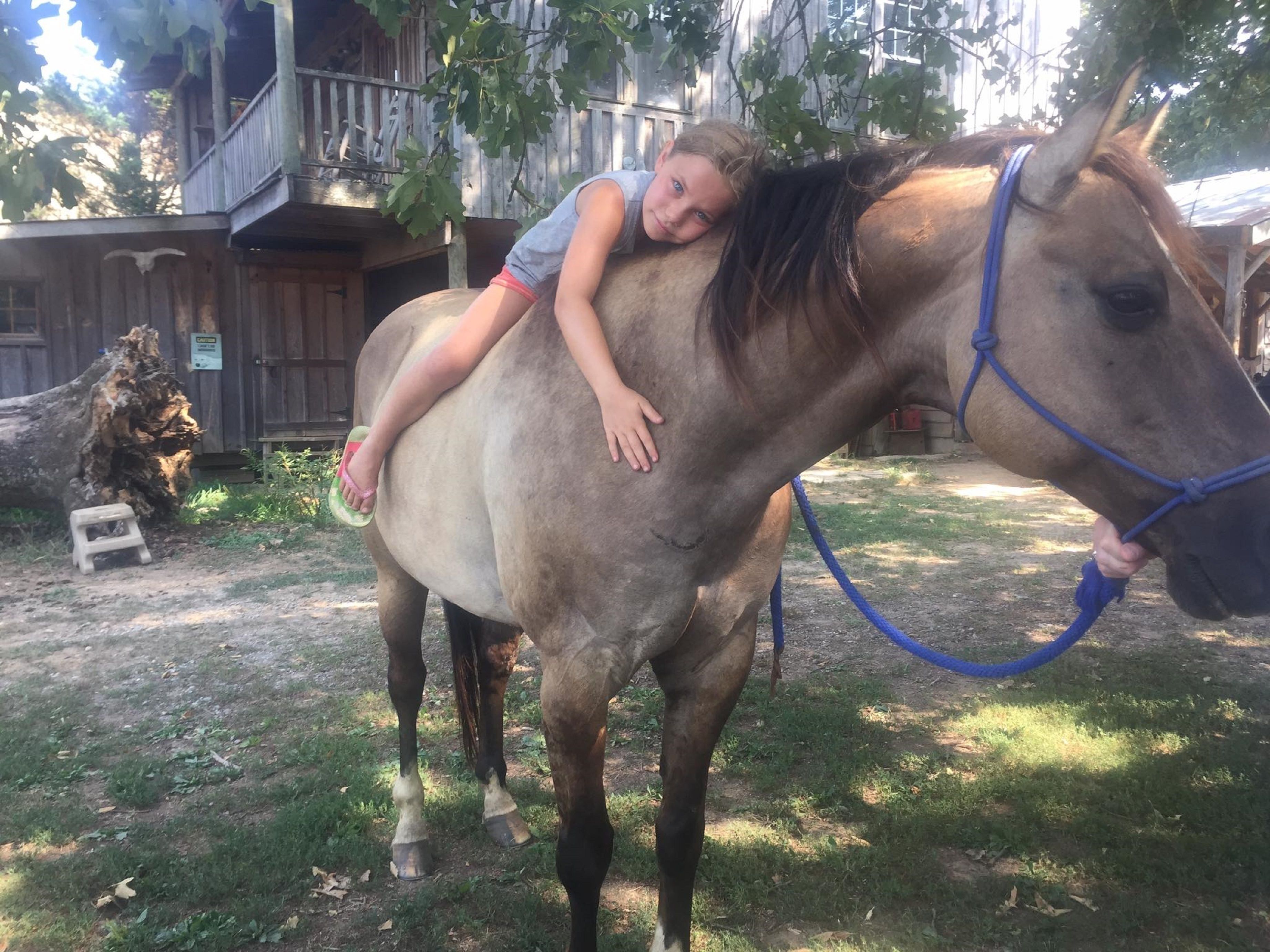 A person leaning on a horse in a stable area with wooden structures and a tree.