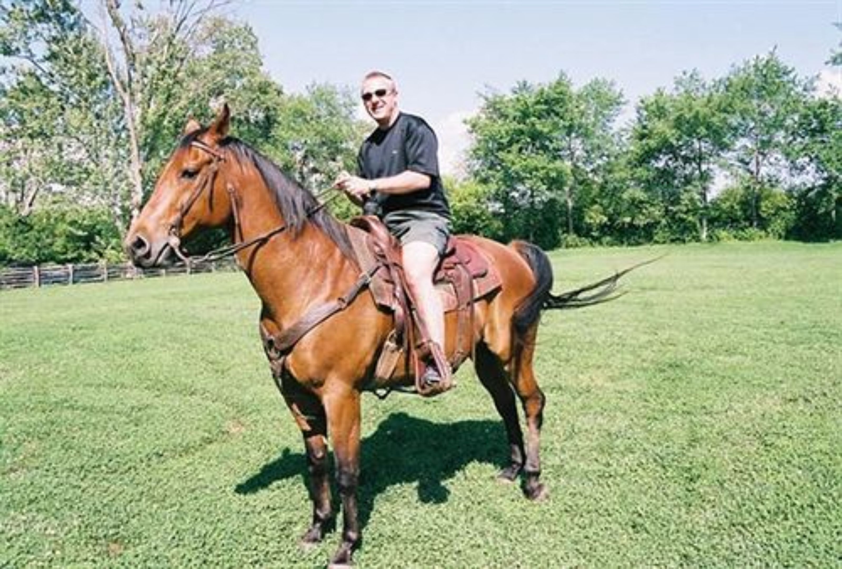 Uma pessoa a cavalo em um campo gramado com árvores ao fundo.