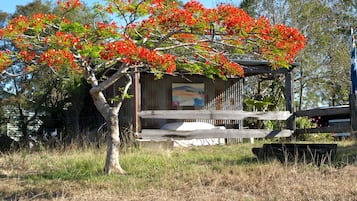 Ein rustikales Holzgebäude mit Veranda, umgeben von trockenem Gras und einem Baum mit roten Blüten.