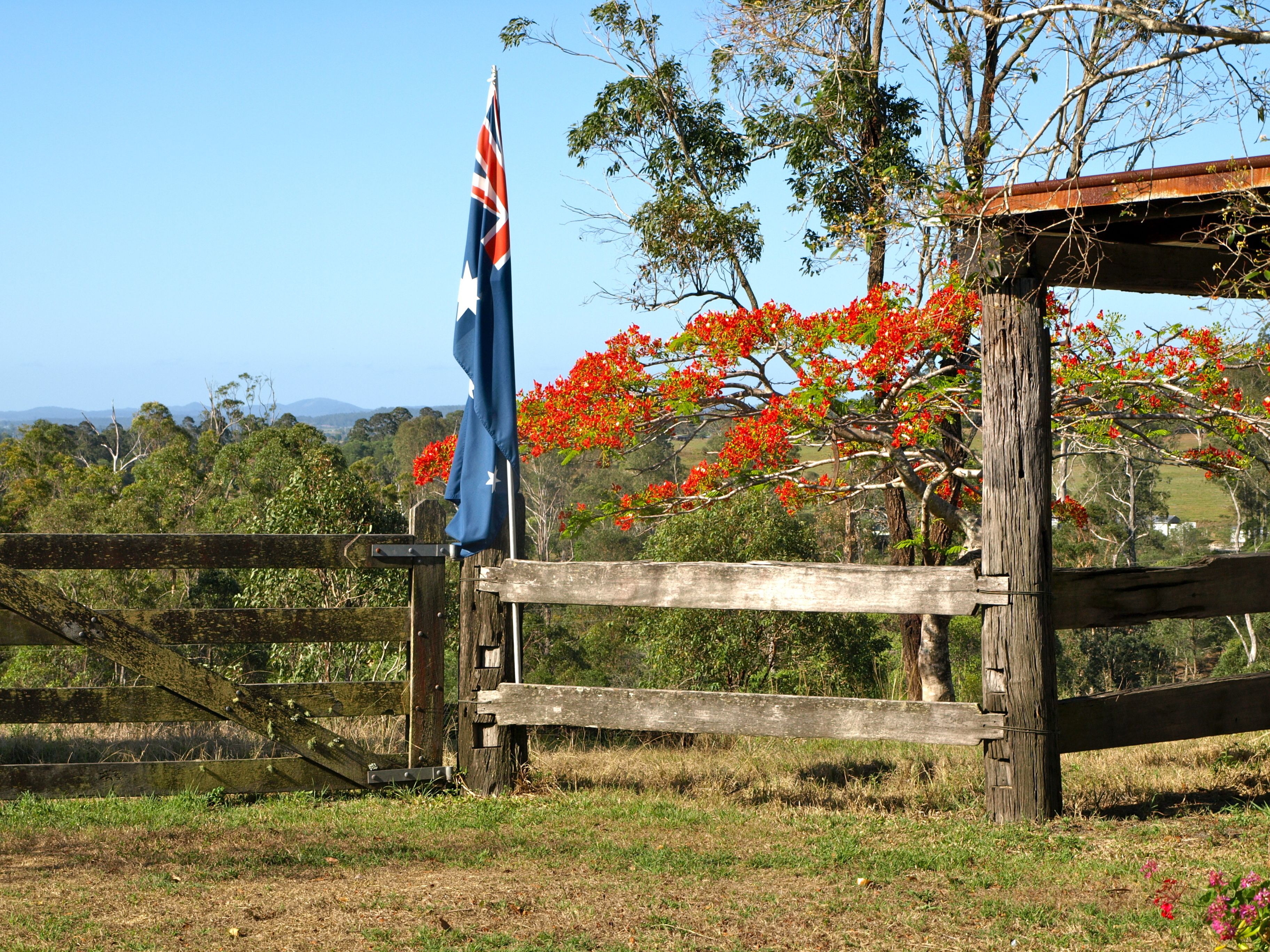 A wooden fence with a flag, a wooden structure, and a tree with red flowers.