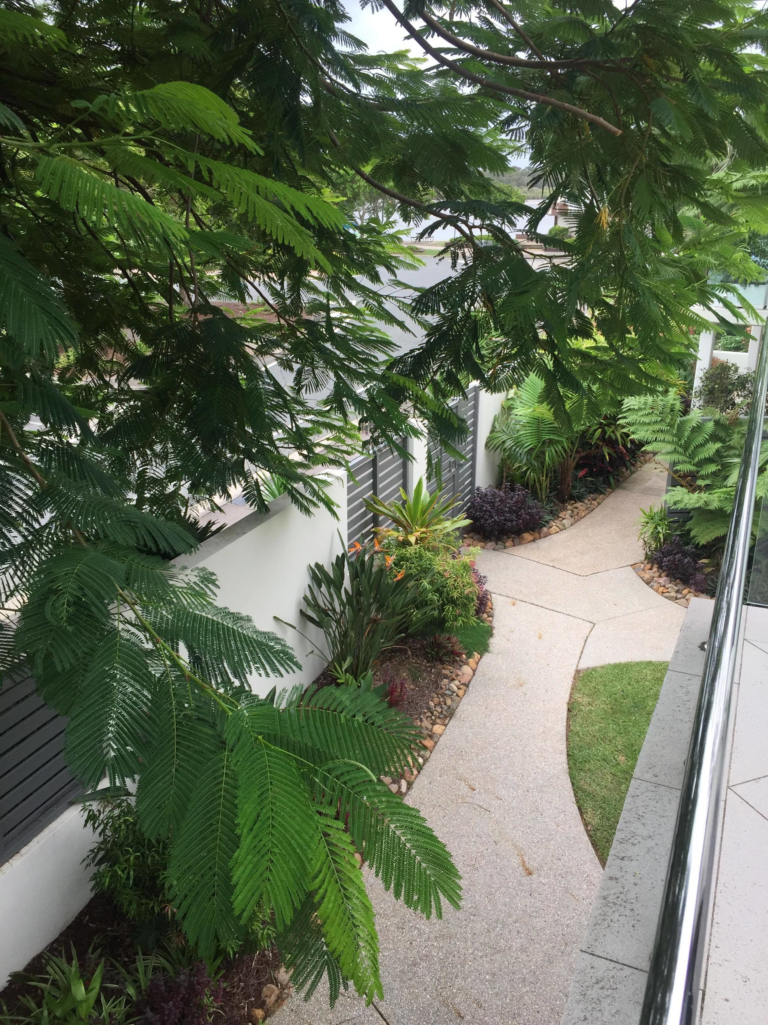A pathway flanked by lush green ferns and various plants, leading to a white building with a grey fence.