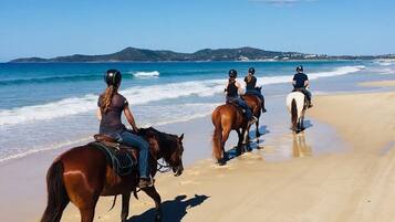 Ride along the expansive beach, where horses can be ridden along the shoreline.