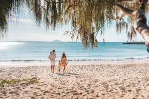 Private beach nearby, white sand - Newport Mooloolaba (Mooloolaba)