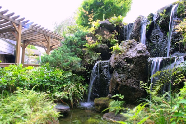 A waterfall cascading over rocks surrounded by lush greenery.