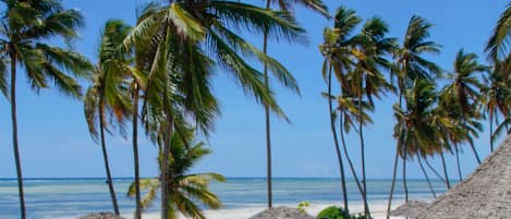 Accommodatie ligt op het strand, wit zand, ligstoelen, parasols