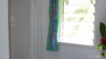 Shower, free toiletries, hair dryer, towels