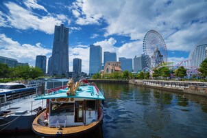Vista desde la propiedad