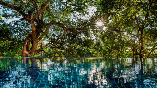 An infinity pool with a clear view of the sky and surrounding trees. - Sol De Goa by Sereno (Nerul)