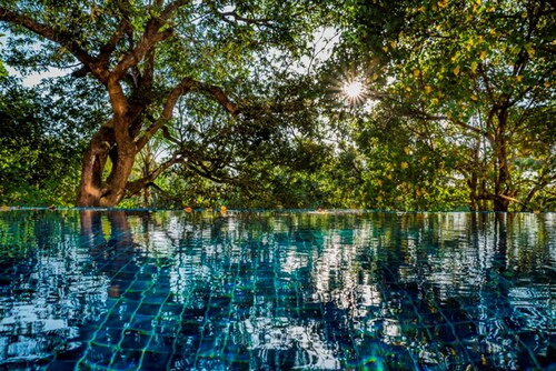 Sol De Goa by Sereno