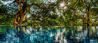 Sol De Goa by Sereno