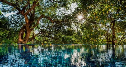 Sol De Goa by Sereno