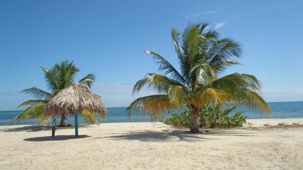 Beach - Michelo Suites (Placencia)