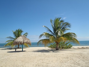 근처 전용 해변