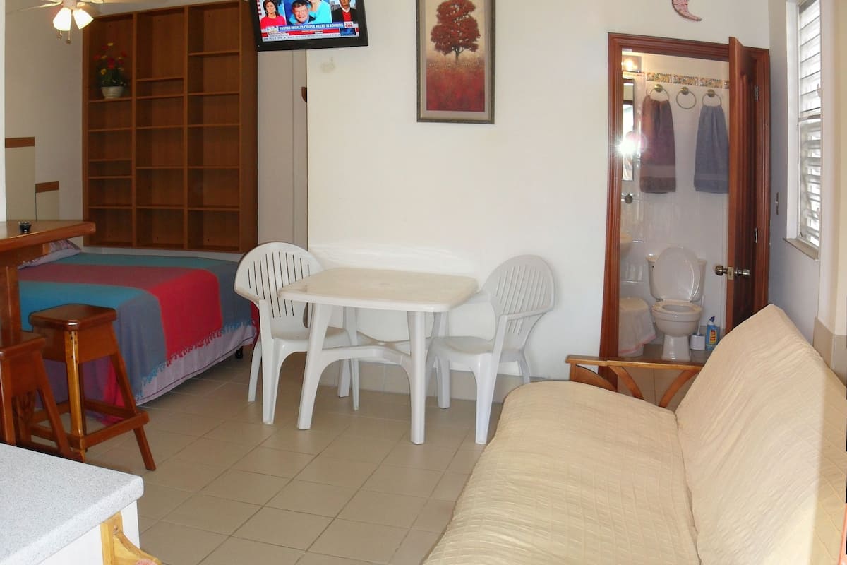 Quarto premium, terraço | Área de estar | TV de plasma 22 polegadas com canais a cabo, TV
