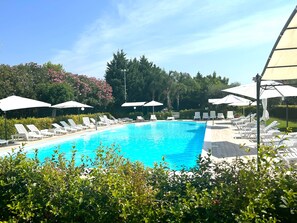 Une piscine entourée de verdure et d’arbres, avec des chaises longues blanches et des parasols.