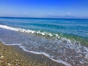 Plage privée, chaises longues, parasols, bar de plage