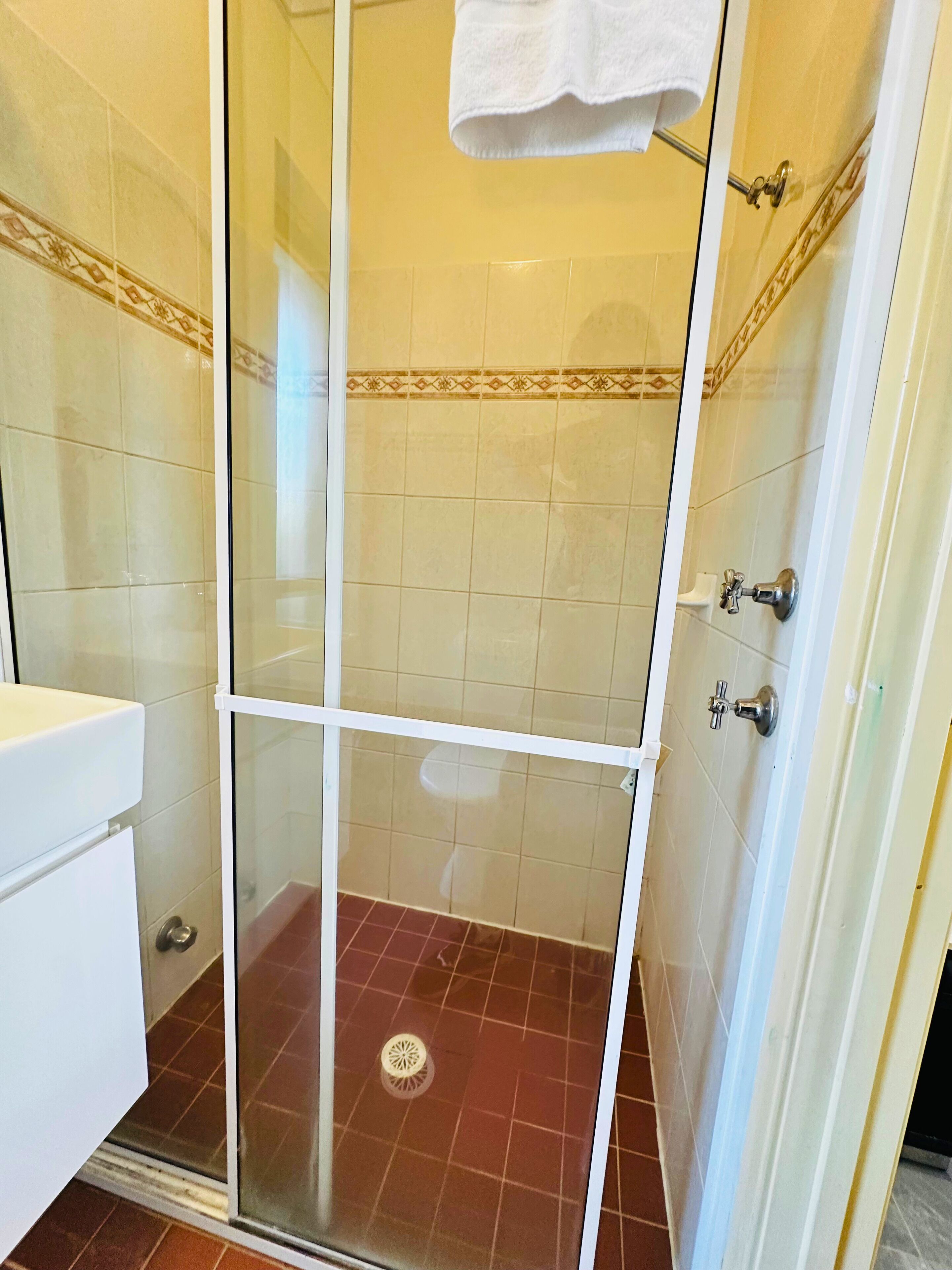 A glass-enclosed shower stall with a white toilet to the left, tiled walls, and a brown floor.