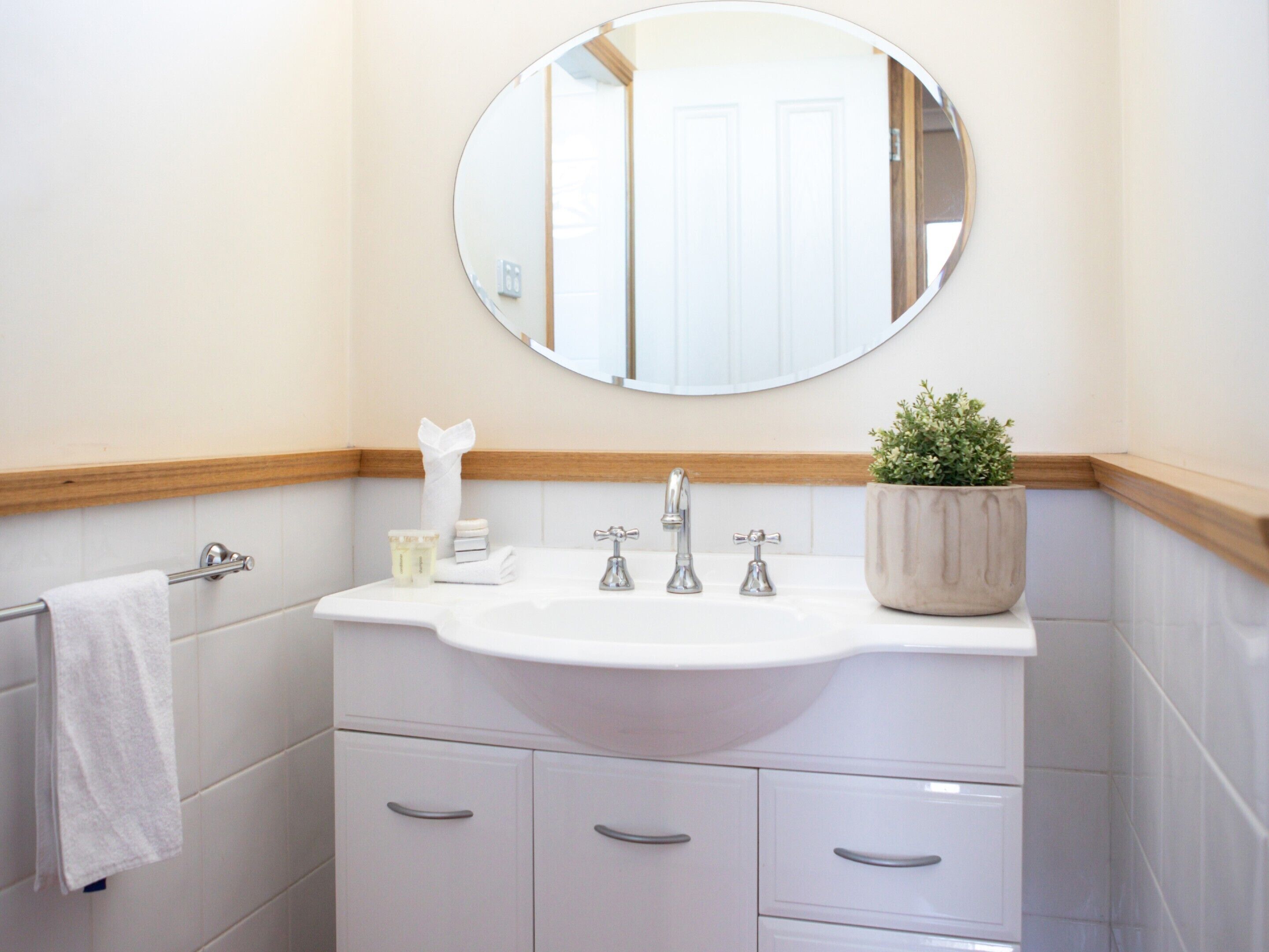 A bathroom with a white sink, a mirror, a towel rack, and a potted plant.