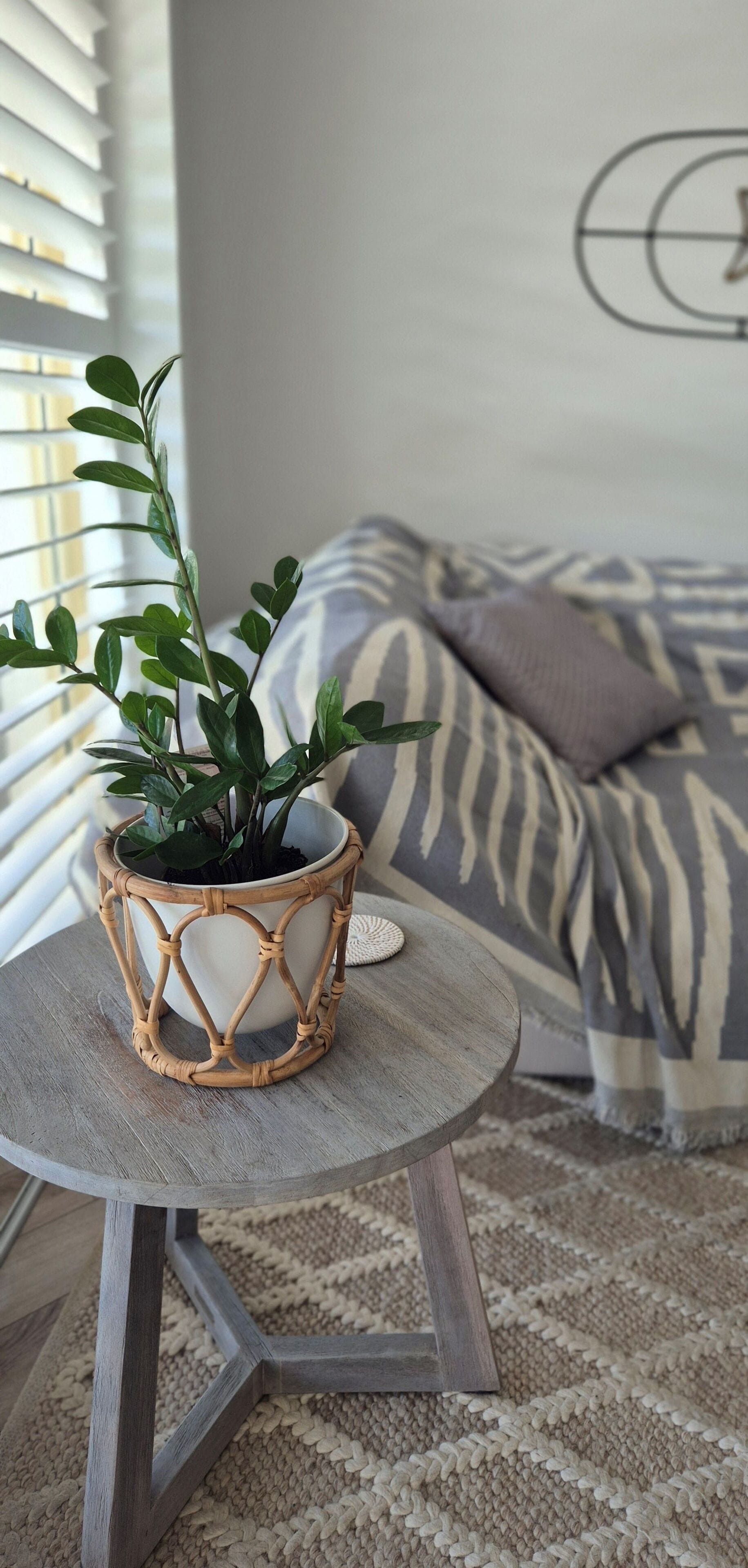 Foto - The Hill Apartments Currumbin Beach