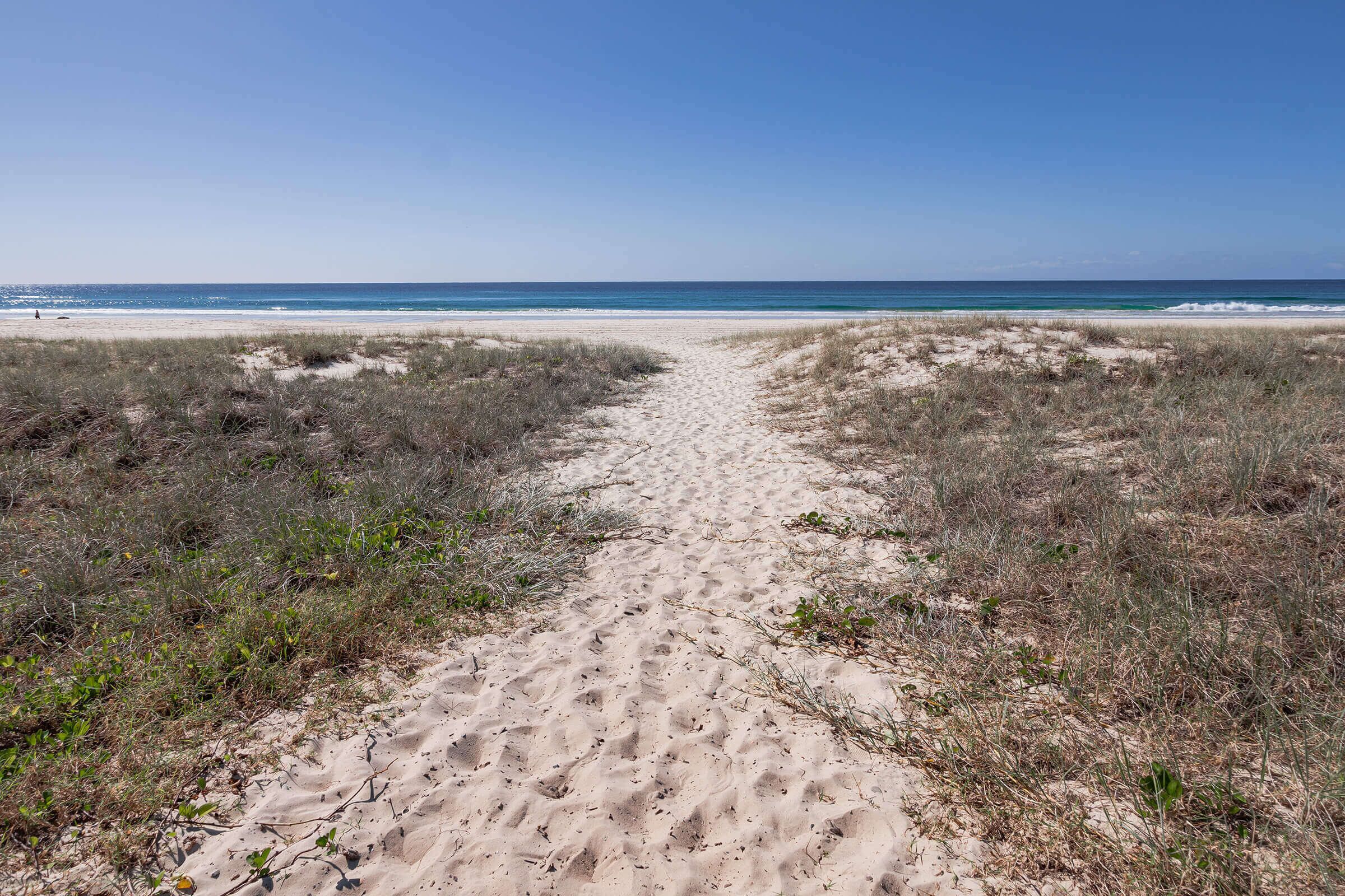 A sandy path leading to a beach with dunes and sparse vegetation.