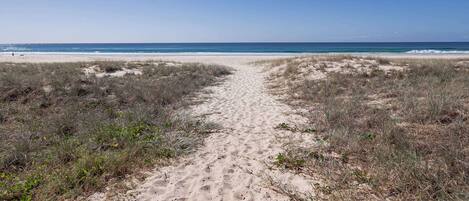 A sandy path leading to a beach with dunes and sparse vegetation.