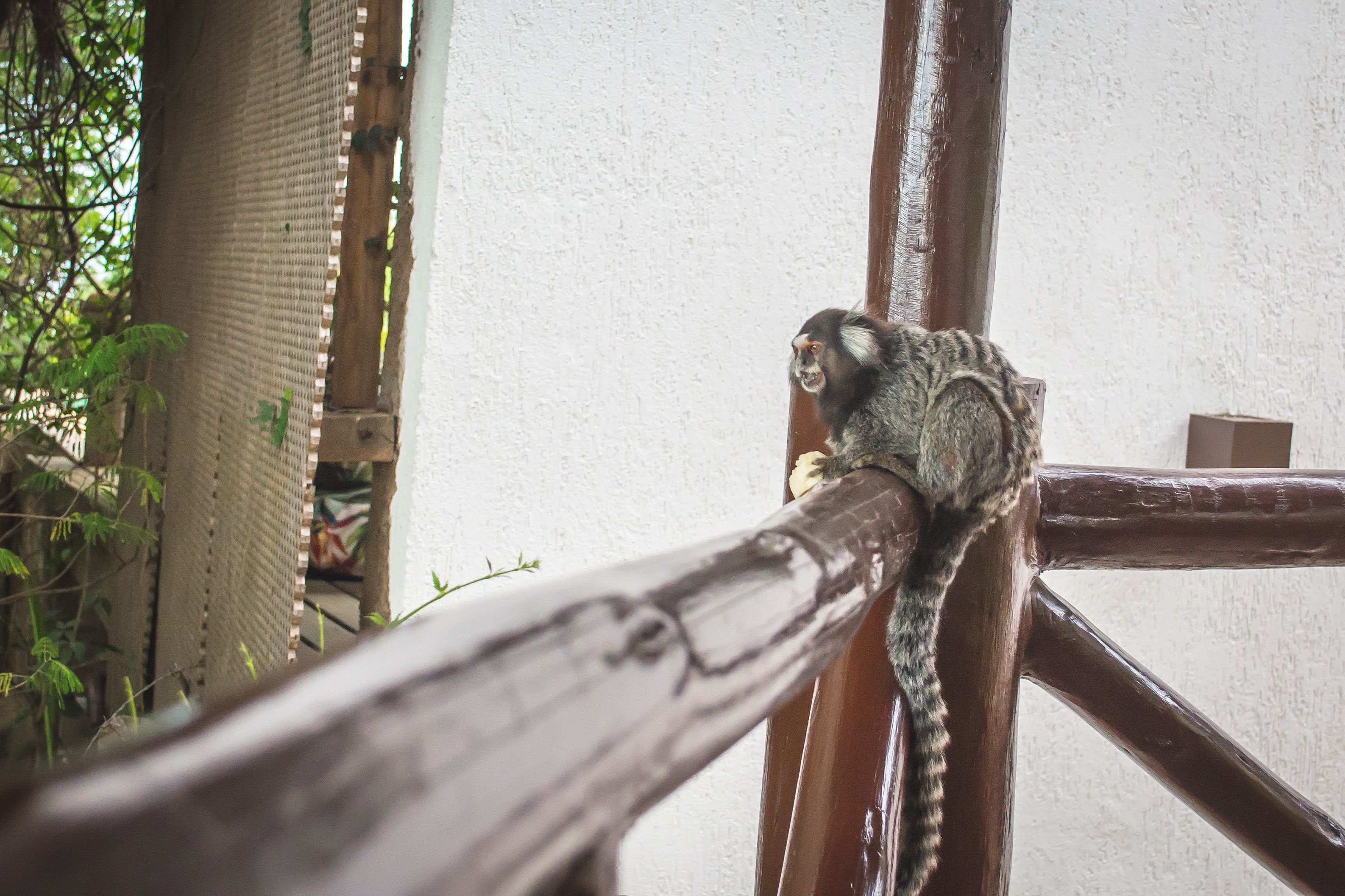 Foto - Bliss Hotéis Concept