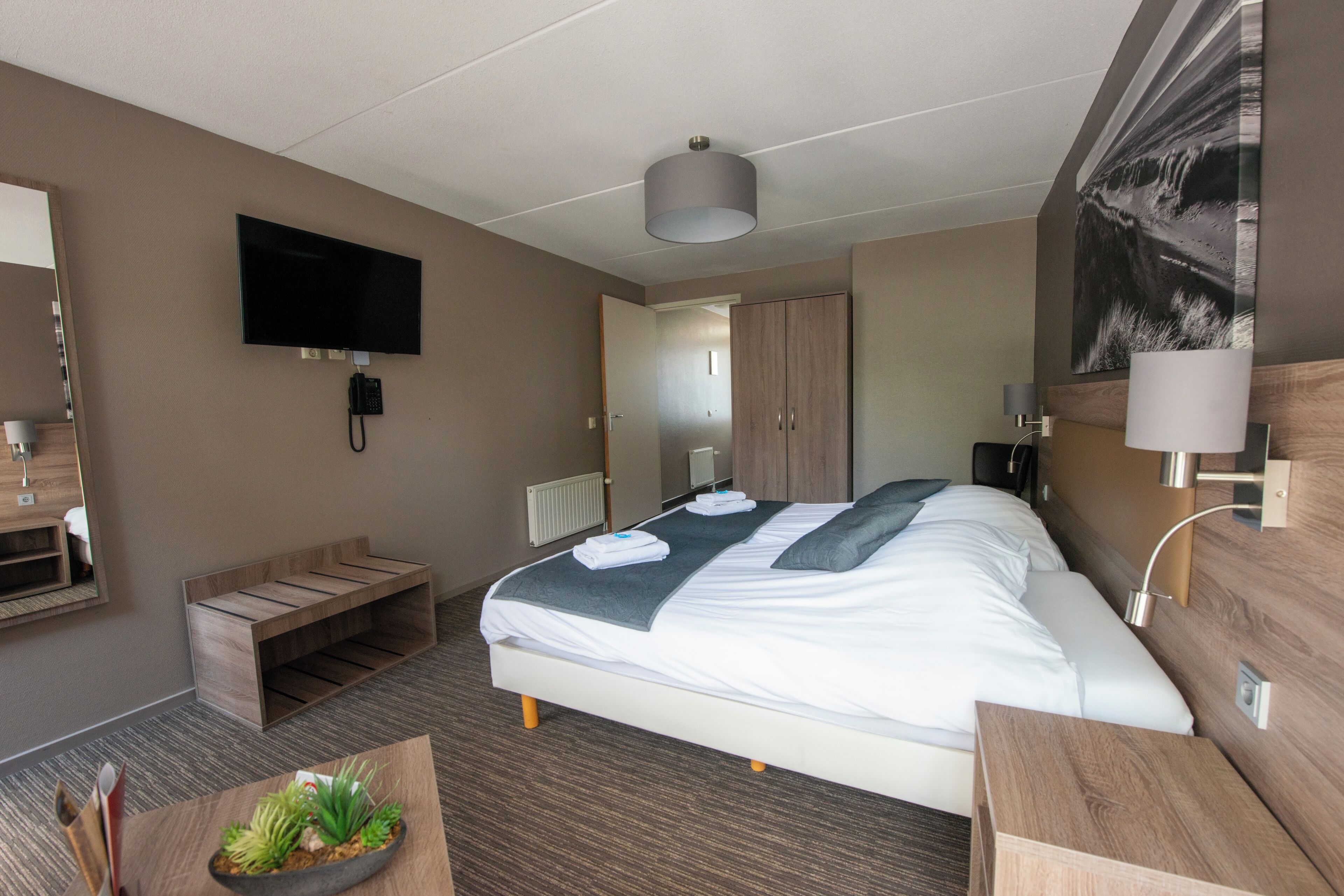 Habitación de hotel con cama, televisión, escritorio, silla, una mesita con plantas y un cuadro en la pared.