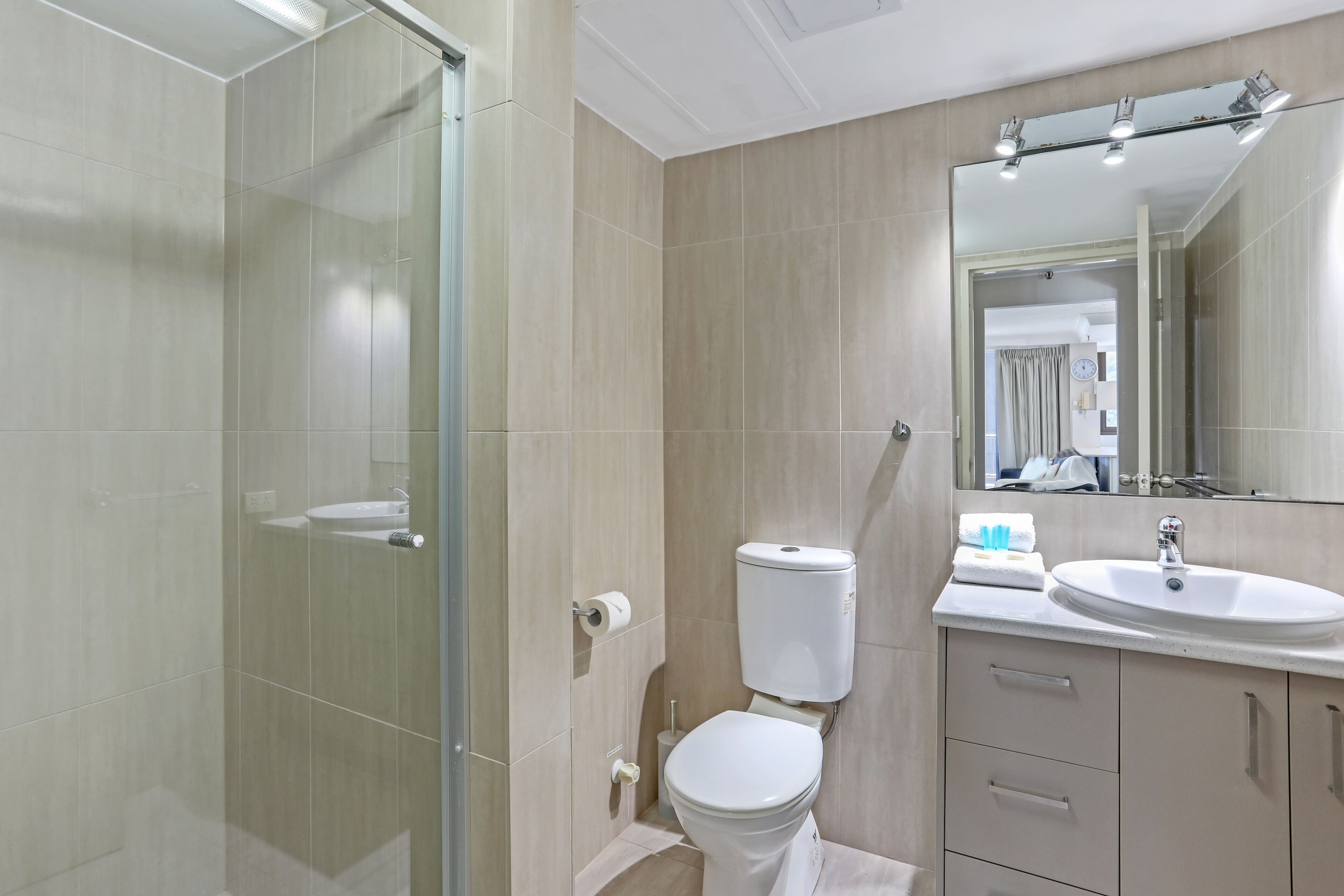 A modern bathroom with a glass shower enclosure, a toilet, a sink, and a mirror.