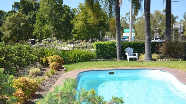 A swimming pool surrounded by a landscaped garden with various plants and a white chair.