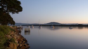 Un lago tranquilo con barcos, un muelle y un árbol.