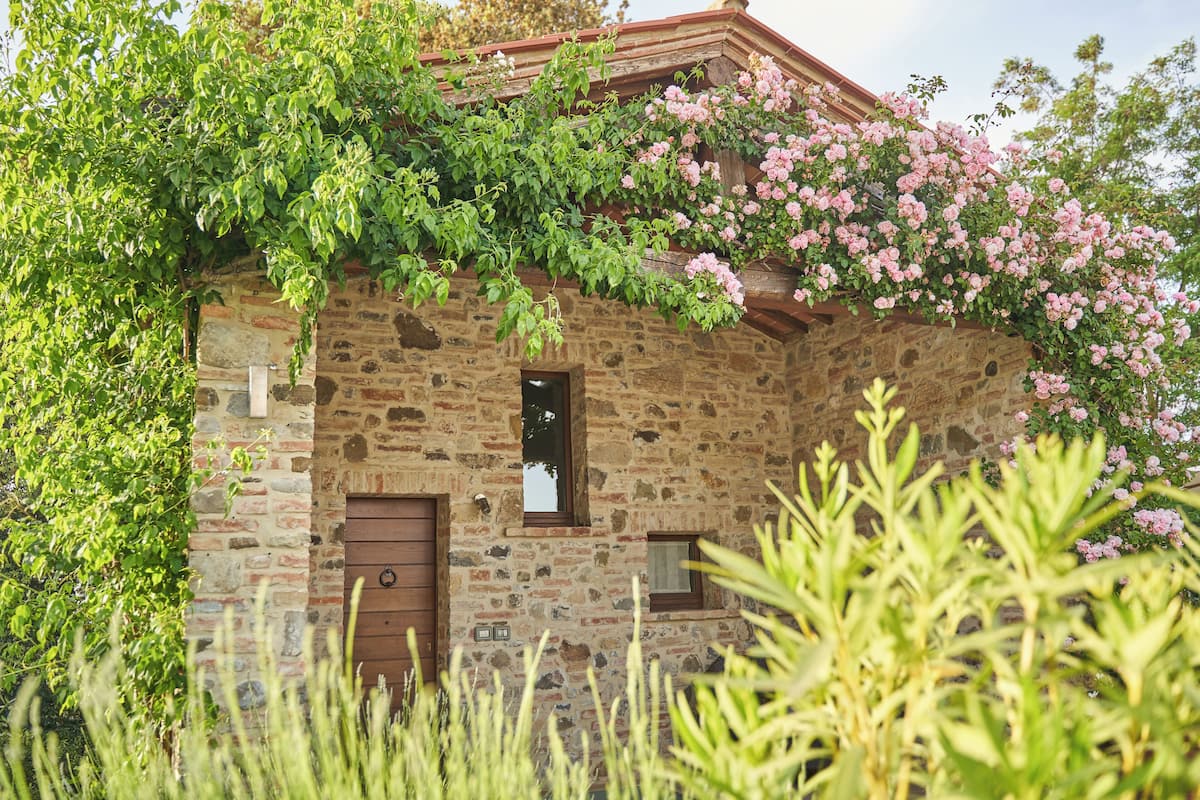A stone building with a wooden door and windows, surrounded by greenery and pink flowers.