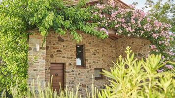 Room, 1 Queen Bed | Select Comfort beds, minibar, cribs/infant beds, rollaway beds