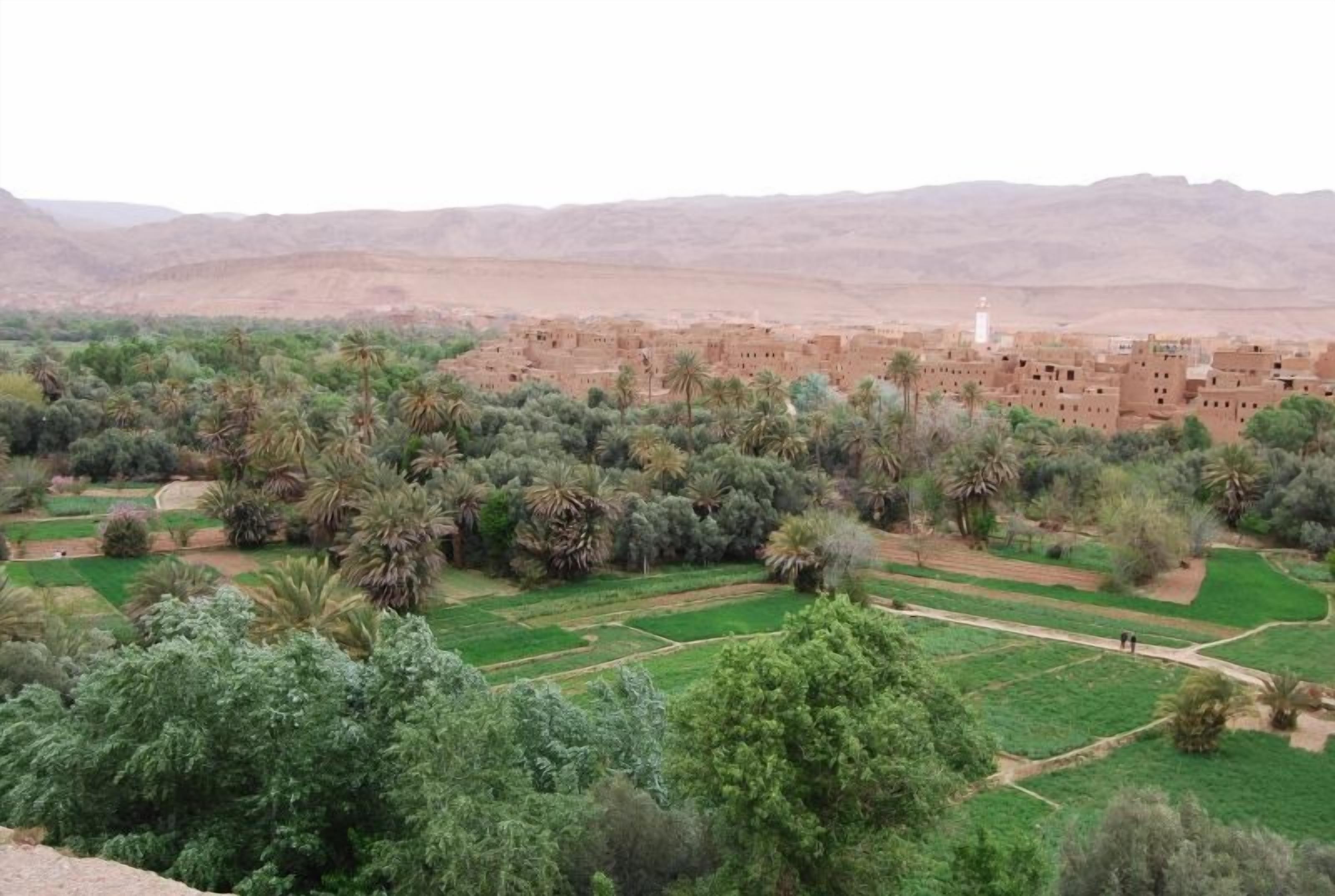 Vista de un pueblo tradicional con campos en terrazas y construcciones de adobe.