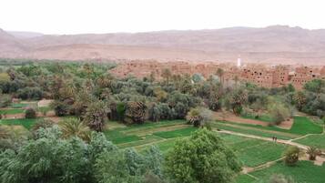 Vista de un pueblo tradicional con campos en terrazas y construcciones de adobe.